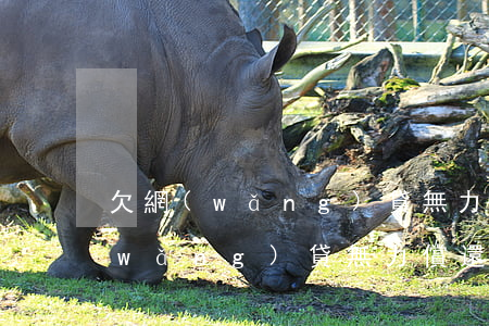欠網(wǎng)貸無力償還的案例(欠網(wǎng)貸無力償還怎么辦)