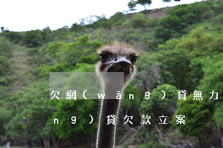 欠網(wǎng)貸無力償還立案(網(wǎng)貸欠款立案)