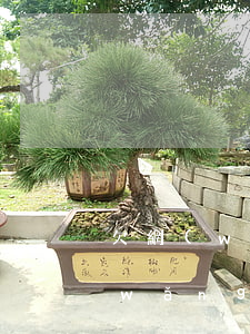 欠網(wǎng)貸無力償還被威脅(欠網(wǎng)貸無力償還被威脅)