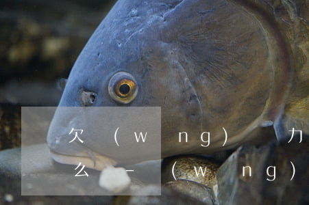 欠網(wǎng)貸無力償還被立案之后怎么辦-網(wǎng)貸無力償還被起訴了怎么辦