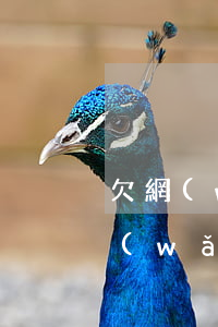欠網(wǎng)貸無力償還跑路的后果(網(wǎng)貸還不上跑路了是什么后果)