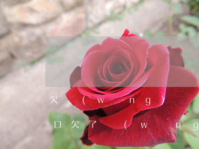 欠網(wǎng)貸無力還了怎么和家里開口(欠了網(wǎng)貸該怎么和家里人開口)