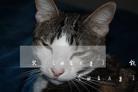 欠網(wǎng)貸無能力還會上征信黑名單嗎-網(wǎng)貸無力償還會被列為失信人嗎