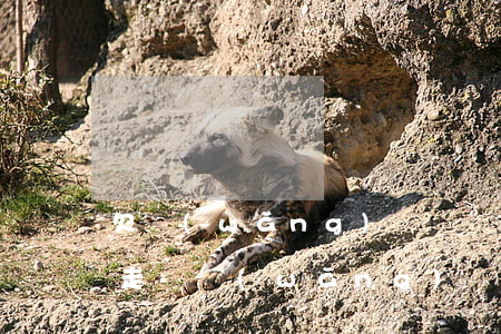 欠網(wǎng)貸無臉面對父母想離家出走-網(wǎng)貸無法面對家人離家出走