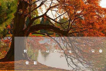 欠網(wǎng)貸父母工資會(huì)受影響嗎