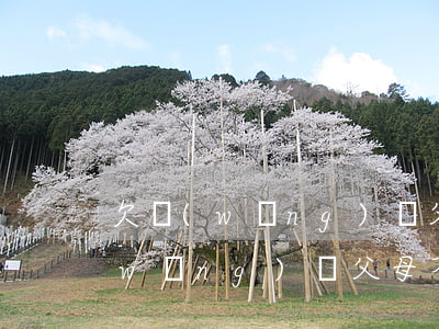 欠網(wǎng)貸父母幫不了我(借了網(wǎng)貸父母不幫還怎么辦)