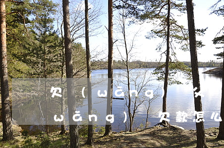 欠網(wǎng)貸父親不管了怎么辦(網(wǎng)貸欠款怎么辦)