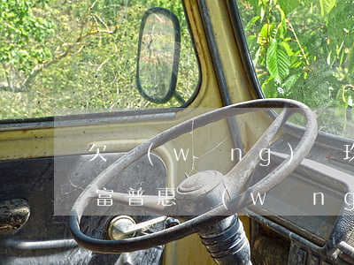 欠網(wǎng)貸玖富普惠的錢怎么辦(玖富普惠網(wǎng)貸最新消息)