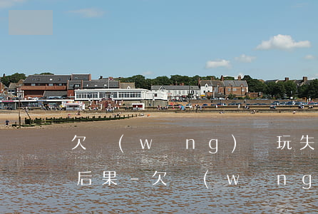 欠網(wǎng)貸玩失蹤不接電話有什么后果-欠網(wǎng)貸玩失蹤不接電話有什么后果嗎