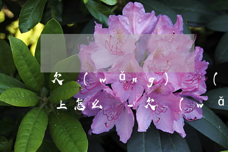 欠網(wǎng)貸現(xiàn)在還不上怎么辦-欠網(wǎng)貸現(xiàn)在還不上怎么辦呢