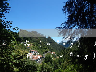 欠網(wǎng)貸用什么方式向家里人坦白(欠網(wǎng)貸給家人坦白的理由)