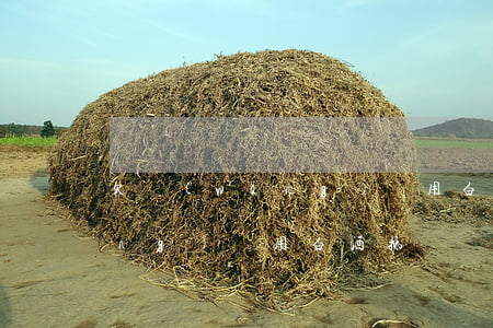 欠網(wǎng)貸用白酒抵賬(欠網(wǎng)貸用白酒抵賬)