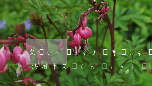 欠網(wǎng)貸申請(qǐng)什么信用卡(欠網(wǎng)貸怎么辦信用卡)