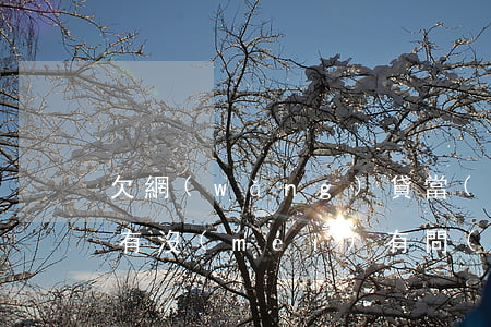 欠網(wǎng)貸當(dāng)兵政審有沒(méi)有問(wèn)題(當(dāng)兵欠網(wǎng)貸政審能過(guò)嗎)