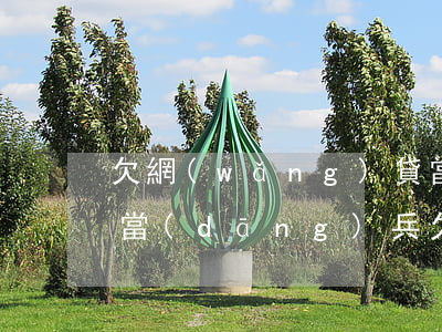 欠網(wǎng)貸當(dāng)兵政審(當(dāng)兵欠網(wǎng)貸政審能過嗎)