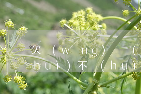 欠網(wǎng)貸當(dāng)兵會(huì)不會(huì)查(當(dāng)兵欠網(wǎng)貸會(huì)不會(huì)被退回來)