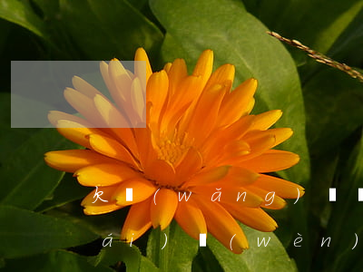 欠網(wǎng)貸發(fā)信息來(lái)問(wèn)家里有沒(méi)有人-欠網(wǎng)貸發(fā)信息來(lái)問(wèn)家里有沒(méi)有人怎么辦