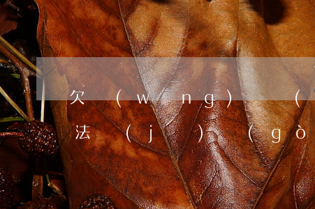 欠網(wǎng)貸發(fā)信息移交司法機(jī)構(gòu)(網(wǎng)貸正式移交戶籍地司法部門)