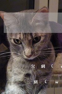 欠網(wǎng)貸發(fā)信息要走訪(網(wǎng)貸逾期走訪)
