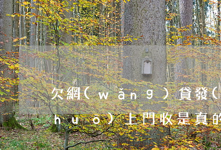 欠網(wǎng)貸發(fā)信息說(shuō)上門收是真的嗎(欠網(wǎng)貸1千多發(fā)信息說(shuō)上門來(lái)催收)