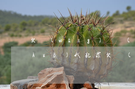 欠網(wǎng)貸發(fā)信息說(shuō)我犯罪(欠網(wǎng)貸發(fā)短信說(shuō)要起訴我是真的嗎)