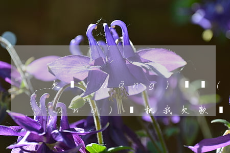 欠網(wǎng)貸發(fā)抖音(網(wǎng)貸把我欠款發(fā)抖音)