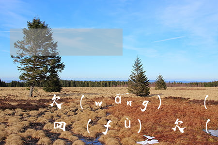 欠網(wǎng)貸發(fā)的律師函要回復(fù)嗎(欠網(wǎng)貸律師事務(wù)所給我發(fā)律師函)