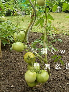 欠網(wǎng)貸發(fā)短信威脅上門怎么辦(欠網(wǎng)貸別人發(fā)信息來威脅我)