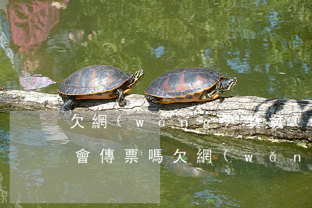 欠網(wǎng)貸發(fā)短信給法院會傳票嗎(欠網(wǎng)貸會收到法院的傳票嗎?)
