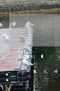 欠網(wǎng)貸發(fā)短信說要打給父母(網(wǎng)貸欠款發(fā)信息給家人)