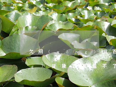 欠網(wǎng)貸百萬的人(欠網(wǎng)貸幾百萬還不了會(huì)怎么樣)