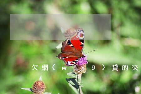 欠網(wǎng)貸的交流群(欠款交流群)