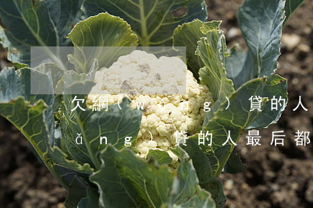 欠網(wǎng)貸的人2020(欠網(wǎng)貸的人最后都怎么樣了)