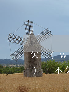 欠網(wǎng)貸的人不敢說實(shí)話(不欠網(wǎng)貸,卻被說欠網(wǎng)貸怎么辦)