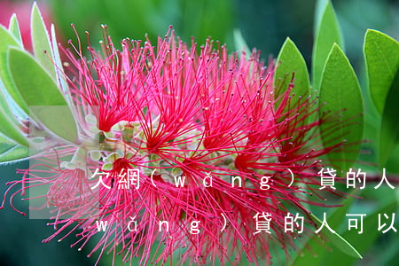 欠網(wǎng)貸的人值得原諒嗎(借網(wǎng)貸的人可以原諒嗎)