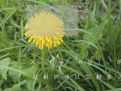 欠網(wǎng)貸的人可以辦理公租房嗎(公租房可以欠租多久)