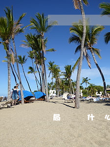 欠網(wǎng)貸的人最后結(jié)局(為什么這么多人欠網(wǎng)貸)