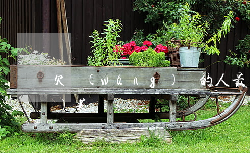 欠網(wǎng)貸的人最終的結(jié)果