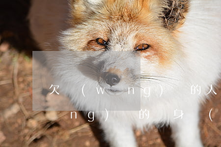 欠網(wǎng)貸的人有夢想嗎(欠網(wǎng)貸的親身經(jīng)歷)