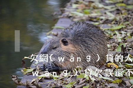 欠網(wǎng)貸的人死了算老賴嗎(網(wǎng)貸欠款還不起會(huì)死人嗎?)