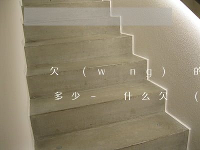 欠網(wǎng)貸的人為什么不說實話欠多少-為什么欠網(wǎng)貸的人那么多不還