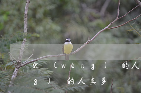 欠網(wǎng)貸的人真多(欠網(wǎng)貸的人真多)