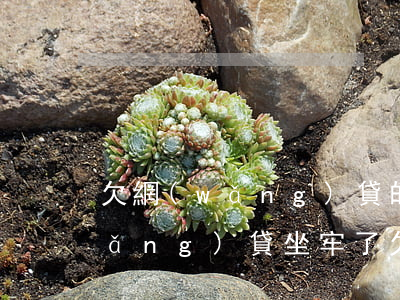 欠網(wǎng)貸的人還用還錢嗎(網(wǎng)貸坐牢了欠錢還用還嗎)