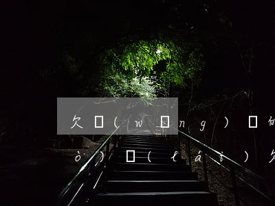 欠網(wǎng)貸的人都怎么抗過(guò)來(lái)(欠網(wǎng)貸最好的處理方法)