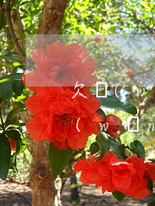 欠網(wǎng)貸的信息是怎么樣的(欠網(wǎng)貸有幾個(gè)是正規(guī)了)