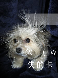 欠網(wǎng)貸的卡辦掛失可以嗎(被掛失的卡還能網(wǎng)上貸款嗎)