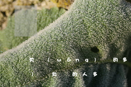 欠網(wǎng)貸的多少人(網(wǎng)貸欠錢的人多嗎)