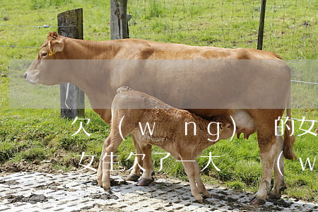 欠網(wǎng)貸的女生可以追嗎(喜歡的女生欠了一大筆網(wǎng)貸)