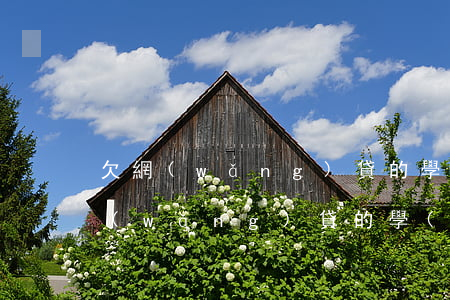 欠網(wǎng)貸的學(xué)生(欠網(wǎng)貸的學(xué)生被爸爸趕走打工)