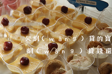 欠網(wǎng)貸的寶媽該怎么辦(寶媽欠網(wǎng)貸錢還不起怎么辦)
